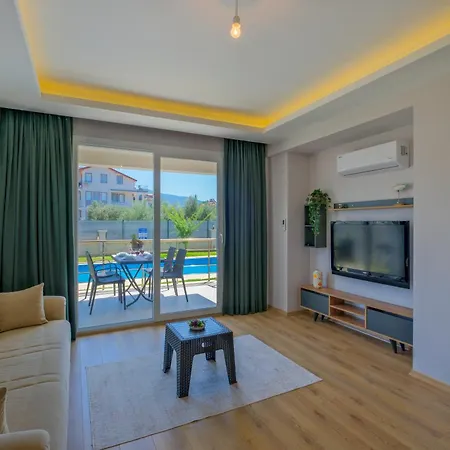 Pineapart-1 With Pool And Big Garden * 费特希耶